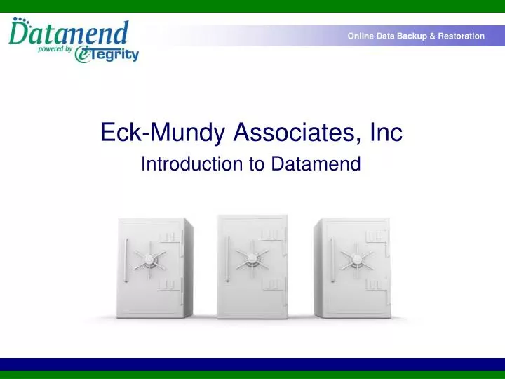 eck mundy associates inc introduction to datamend