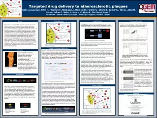 Targeted drug delivery to atherosclerotic plaques