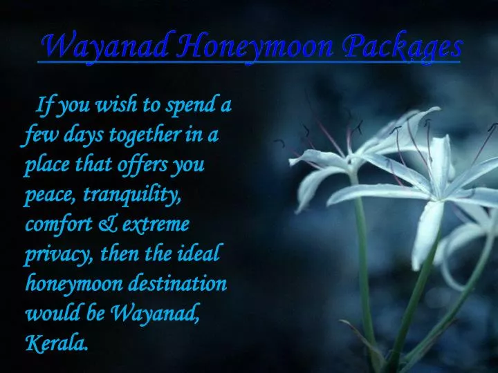 wayanad honeymoon packages