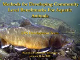Methods for Developing Community Level Benchmarks For Aquatic Animals