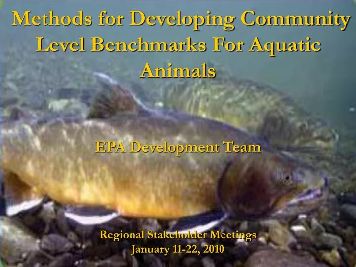 methods for developing community level benchmarks for aquatic animals