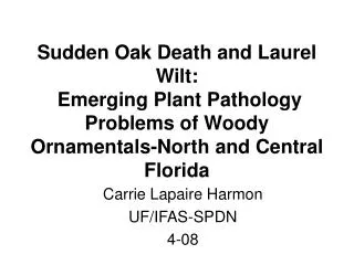 Sudden Oak Death and Laurel Wilt: Emerging Plant Pathology Problems of Woody Ornamentals-North and Central Florida