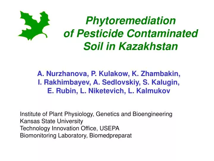 phytoremediation of pesticide contaminated soil in kazakhstan
