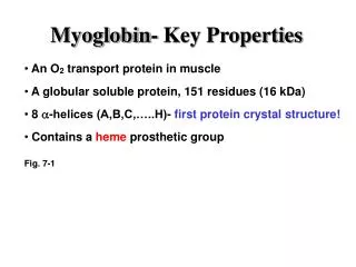 Myoglobin- Key Properties