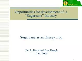 Opportunities for development of a “Sugarcane” Industry
