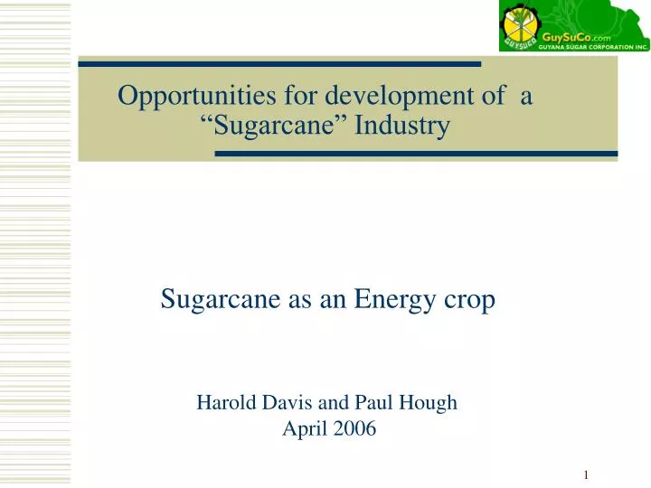 opportunities for development of a sugarcane industry