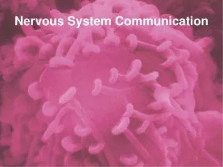 Nervous System Communication