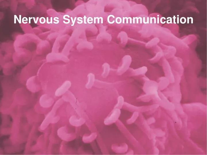 nervous system communication