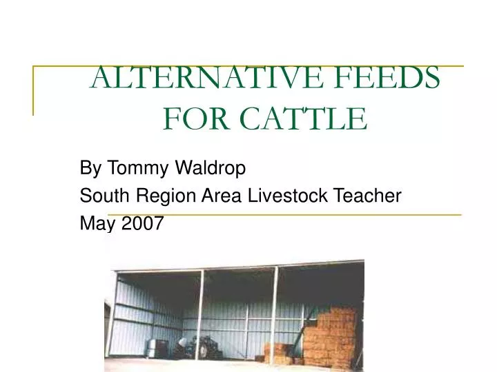 alternative feeds for cattle