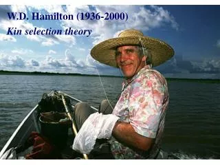 W.D. Hamilton (1936-2000) Kin selection theory