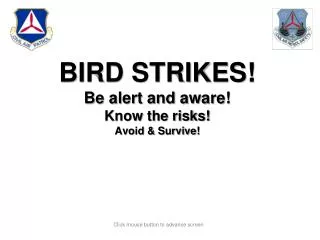 BIRD STRIKES! Be alert and aware! Know the risks! Avoid &amp; Survive!