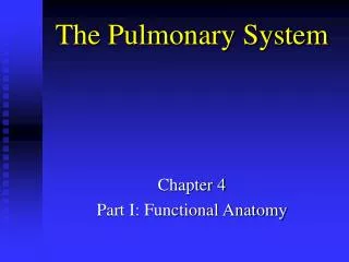 The Pulmonary System