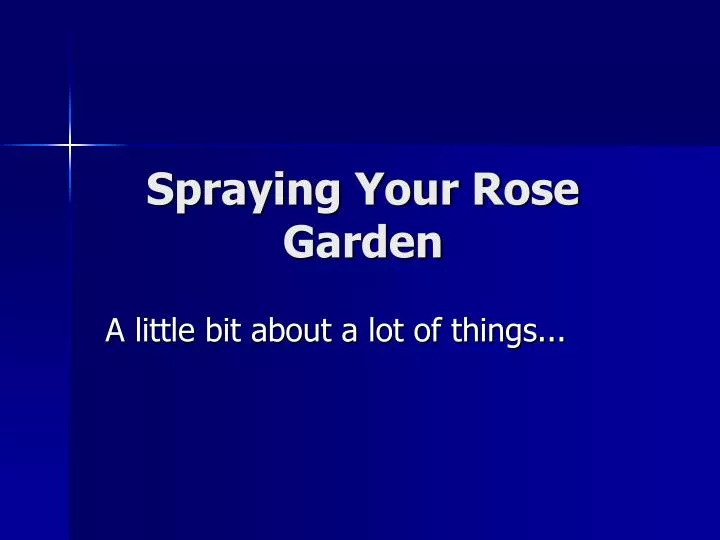 spraying your rose garden
