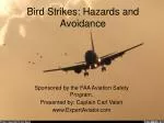 Bird Strikes: Hazards and Avoidance