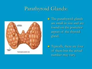 Parathyroid Glands: