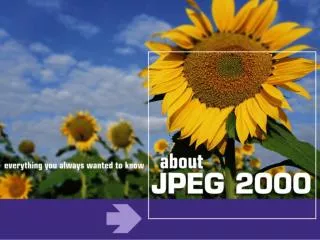 intoPIX - about JPEG 2000