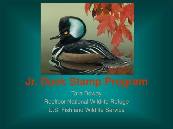 jr duck stamp program