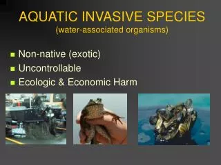 AQUATIC INVASIVE SPECIES (water-associated organisms)
