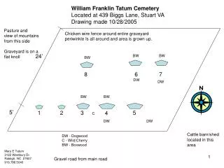 William Franklin Tatum Cemetery Located at 439 Biggs Lane, Stuart VA Drawing made 10/28/2005