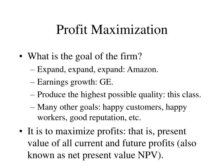 profit maximization