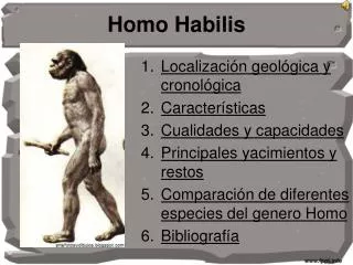 homo habilis