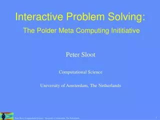Interactive Problem Solving: The Polder Meta Computing Inititiative