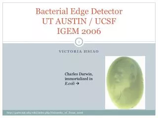 Bacterial Edge Detector UT AUSTIN / UCSF IGEM 2006