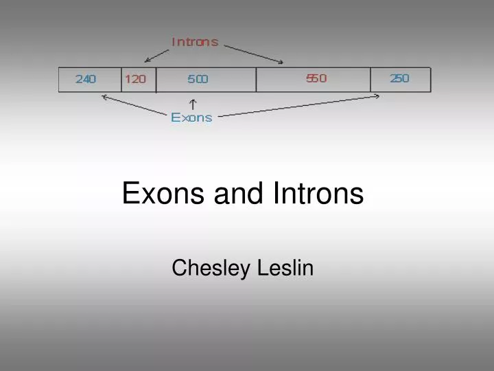exons and introns