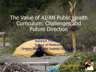The Value of AI/AN Public Health Curriculum: Challenges and Future Direction