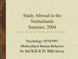 Study Abroad in the Netherlands Summer, 2004