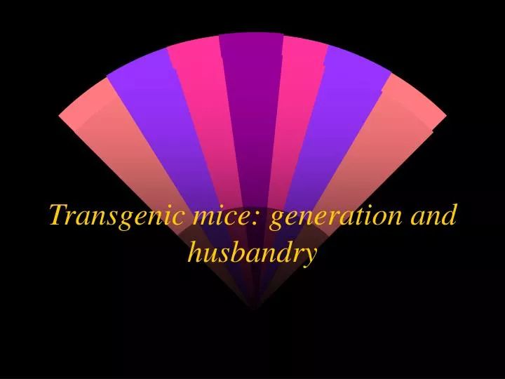 transgenic mice generation and husbandry