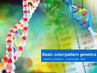 Basic color/pattern genetics
