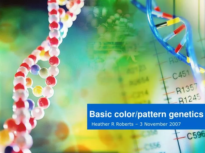 basic color pattern genetics