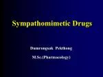 Sympathomimetic Drugs - slide 1