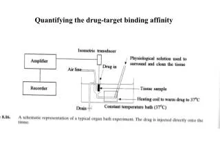 Quantifying the drug-target binding affinity