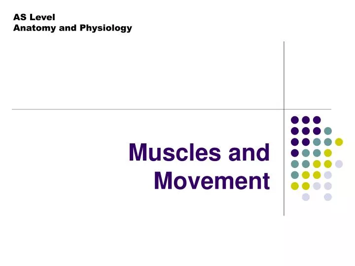 muscles and movement