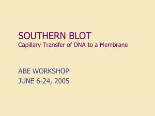 SOUTHERN BLOT Capillary Transfer of DNA to a Membrane