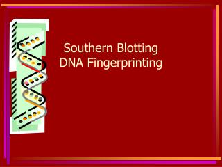 Southern Blotting DNA Fingerprinting