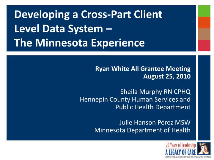 developing a cross part client level data system the minnesota experience