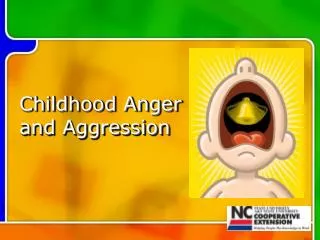 Childhood Anger and Aggression