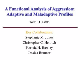A Functional Analysis of Aggression: Adaptive and Maladaptive Profiles