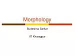 Morphology