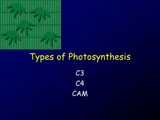 Types of Photosynthesis