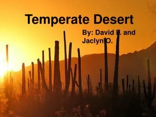 Temperate Desert