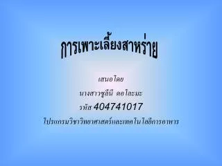 404741017