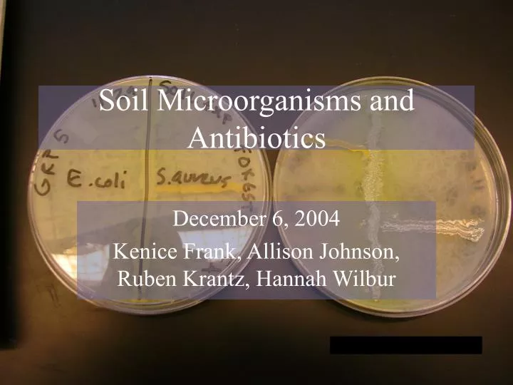 soil microorganisms and antibiotics