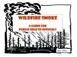 Wildfire Smoke A Guide for Public Health Officials