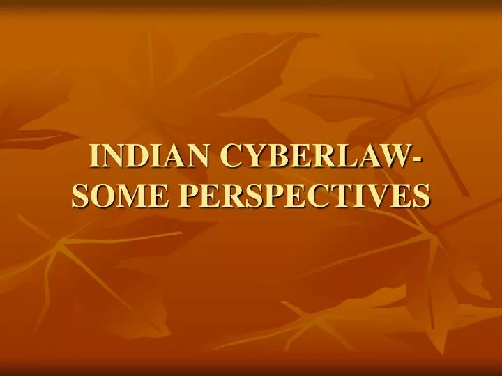 indian cyberlaw some perspectives