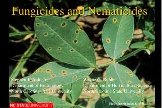 Fungicides and Nematicides
