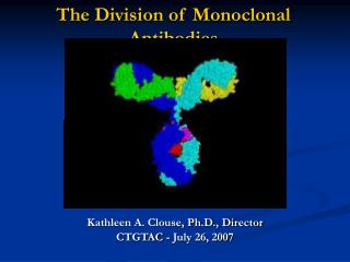 The Division of Monoclonal Antibodies
